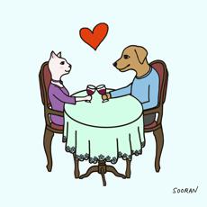 Cat and Dog #4 (Digital Painting)